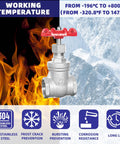 1-1/2 Inch NPT Stainless Steel Gate Valve Heavy Duty Female To Female Thread Manual Rotary Sluice Valve With Wheel Handle