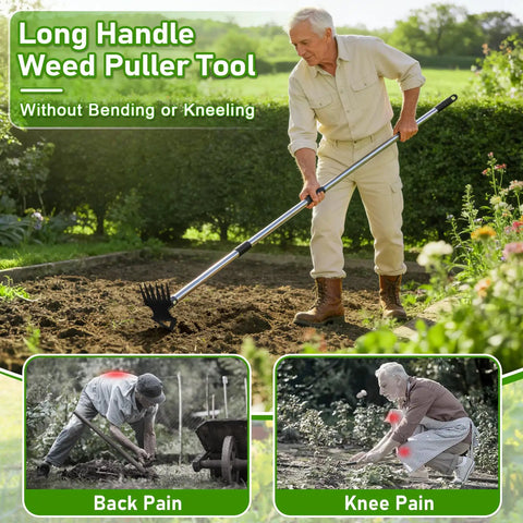 Beefy 56 Inch Long Handle Weed Puller Tool Dual Head 2 In 1 Weed Rake And Garden Hoe in use by man in garden.