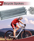 Pro Grade Bombproof Bicycle Wheel Spokes 48 Pack 10G Thread 215mm Carbon Steel Galvanized Heavy Duty Silver Bike Spare Parts For Rock Solid Rear Build Jobs with rider on mountain path.