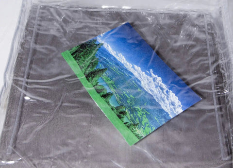 10 Pack Clear Vinyl Zippered Storage Bags With Display Pocket, 9 x 11 x 2 Inches, Durable 4 Gauge Vinyl, showing landscape photo insertion