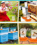 8 Pack Silicone Bee Feeder for Mason Jars Watering Station Beekeeping Drinking Equipment with Orange Hexagon Design in use