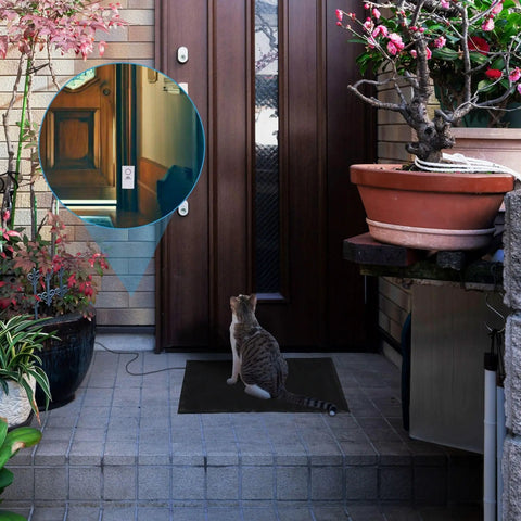 Pressure Floor Mat Home Alarm System With Step On Sensor And Wired Alarm at front door with cat on mat.