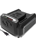 Rapid 100V Battery Charger for iON100V Series, black, with cord, designed for 5Amp and 2.5Amp lithium batteries.