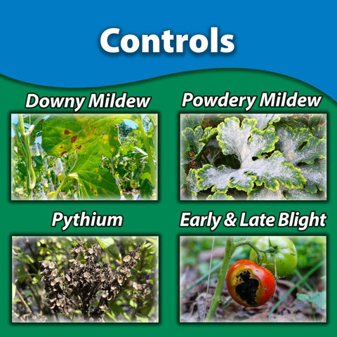 Image showing diseases targeted by All In One Complete Disease Control: downy mildew, powdery mildew, pythium, blight.