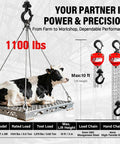 Half Ton Hand Chain Hoist For Garage And DIY Lifting, Compact Lightweight Manual Chain Block, 1100 Lbs Working Load, cow lifted