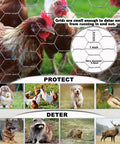 17 Inch By 60 Foot Galvanized Chicken Wire Fencing Mesh For Gardens Poultry Coops And Crafts with poultry and pests visual