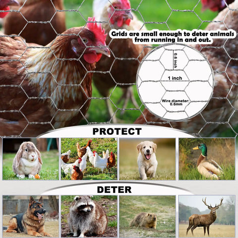 17 Inch By 60 Foot Galvanized Chicken Wire Fencing Mesh For Gardens Poultry Coops And Crafts with poultry and pests visual