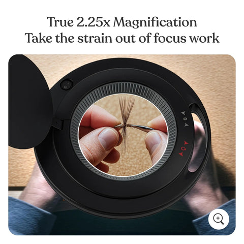 Hands Free Magnifying Floor Lamp With Dimmable LED Light, 5 Diopter Lens close-up of hair viewed at 2.25x magnification