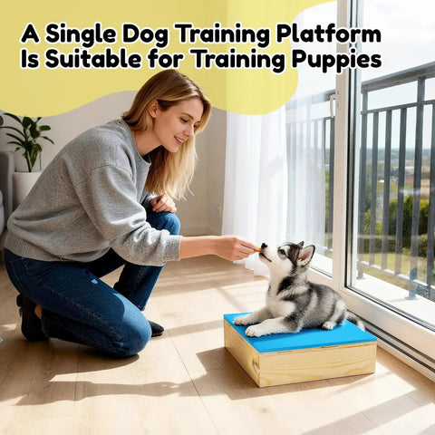 Woman training puppy on Two Piece Connectable Wooden Dog Training Platform Set With Non Slip Foaming Surface For Small To Medium Dogs