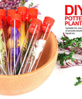 DIY plant display with 50 Pack Clear Plastic Test Tubes 16x100mm With Red Caps And Blue Rack Holder For Nurse Party Decor And Halloween Favors Durable Plastic Safe For Experiments And Stem Classroom Activities.