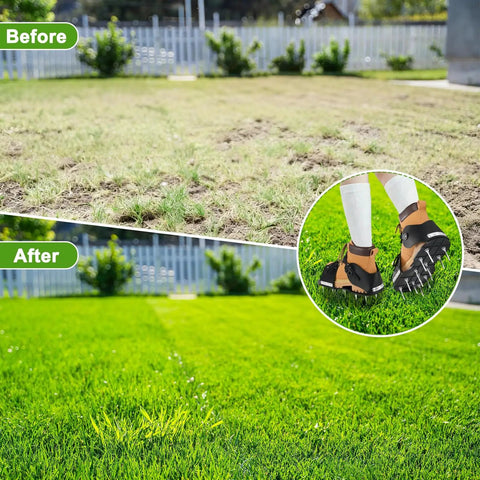 Before and after lawn transformation using Lawn Aerator Shoes With 26 Nail Spikes 5cm And Adjustable Straps For Patios Gardens And Yards