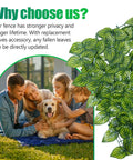 Family with dog enjoying artificial ivy privacy fence screen one piece 240 by 40 inches UV resistant outdoor hedge