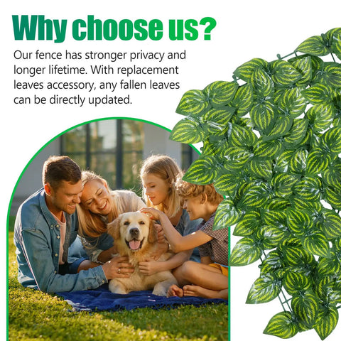 Family with dog enjoying artificial ivy privacy fence screen one piece 240 by 40 inches UV resistant outdoor hedge