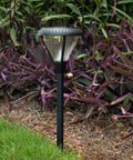 Outdoor Solar Pathway Lights 2-Pack, 2 Color LEDs, black cast aluminum, installed in garden with purple foliage