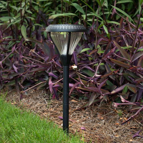 Outdoor Solar Pathway Lights 2-Pack, 2 Color LEDs, black cast aluminum, installed in garden with purple foliage