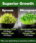 Bowls of sprouts and microgreens showing growth times with text "Superior Growth" for Alfalfa Sprout Seeds 8 Oz Bulk Heirloom Non GMO USA Sourced High Germination Fast Growing Microgreens Nutrient Dense Sprouting Seeds For Sandwiches And Salads Indoor Garden DIY Friendly.