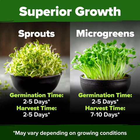 Bowls of sprouts and microgreens showing growth times with text "Superior Growth" for Alfalfa Sprout Seeds 8 Oz Bulk Heirloom Non GMO USA Sourced High Germination Fast Growing Microgreens Nutrient Dense Sprouting Seeds For Sandwiches And Salads Indoor Garden DIY Friendly.