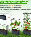 Two Pack Raised Garden Bed Tomato Planter Box With Trellis 43.4 Inch Self Watering Cage for climbing plants with adjustable height