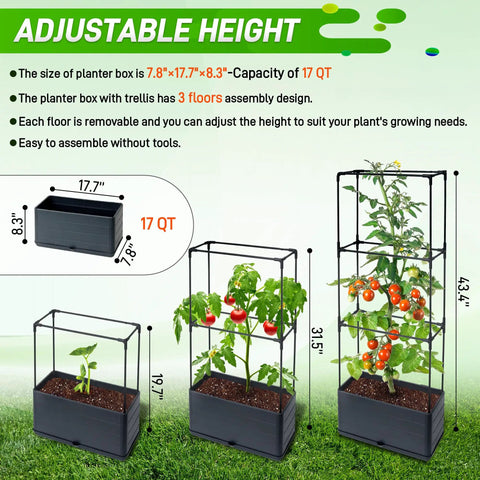 Two Pack Raised Garden Bed Tomato Planter Box With Trellis 43.4 Inch Self Watering Cage for climbing plants with adjustable height