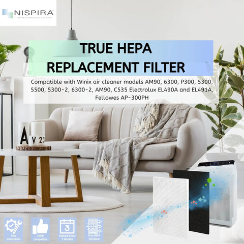 Living room with Easy Install Premium True HEPA Carbon Filter Replacement for Winix AM90 and Electrolux models in foreground