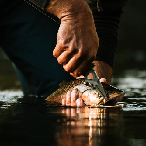 Titanium Fishing Pliers With Side Cutters, Halo Hinge in use on a fish, showing durability and precision for saltwater fishing.