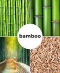 Fast Growing Bamboo Seeds For Privacy Screen And Windbreak, Giant 420 Black Bamboo With Striking Dark Stems