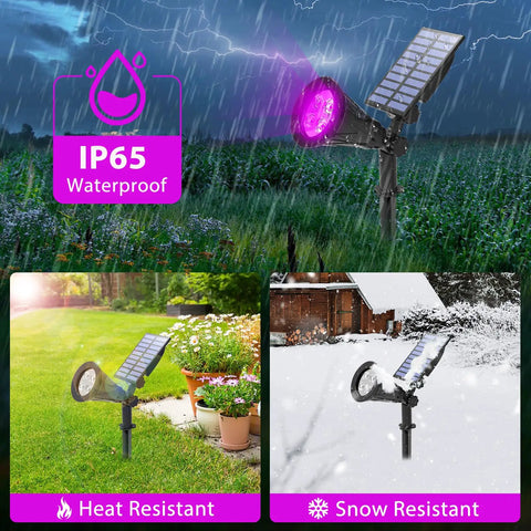 Purple Solar LED Spotlight 2 Pack Outdoor Waterproof Landscape Lights With Auto On Off By Day 180 Degree Adjustable Beam