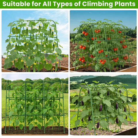 U Shape Garden Trellis For Raised Beds And Climbing Plants, Rustproof Metal Arch With Stainless Steel Core in use with tomatoes and peppers