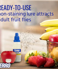 Indoor Fruit Fly Trap Kit With Built In Window Ready To Use, 2 Traps And 90 Day Lure Supply next to fruit bowl in kitchen