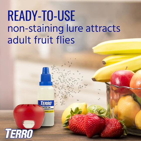 Indoor Fruit Fly Trap Kit With Built In Window Ready To Use, 2 Traps And 90 Day Lure Supply next to fruit bowl in kitchen