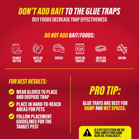 Infographic detailing guidelines for using mouse glue traps, emphasizing no bait and best placement tips. Snag Those Sneaky Critters Fast With These Ready To Use Mouse Glue Traps For Indoor Home Defense This 16 Pack Delivers Year Round Pest Control That Straight Up Hooks Roaches Spiders And Crickets Just Peel Place And Enjoy Clean Spaces.