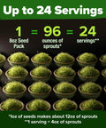 Broccoli Sprout Seeds 8 Oz Bulk Heirloom Non GMO High Germination Sulforaphane Rich For Quick Five Day Harvest Ideal For Sprouting Jars And Microgreens Nutritious Green Sprouts For A Healthy Home Diet infographic showing servings