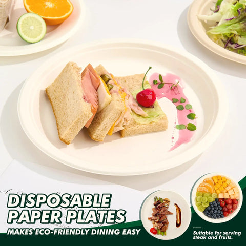 Heavy Duty 10 Inch Compostable Paper Plates 500 Count Round Biodegradable Sugarcane Fiber Dinnerware with sandwiches and fruit