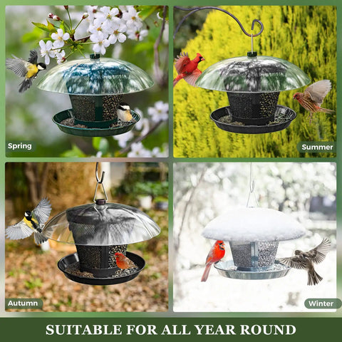 Outdoor Bird Feeder Dual Use Metal Mesh With Weatherproof Dome 2.5 Pound Seed Capacity for Finches and Cardinals in all seasons