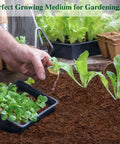 10 Pack Coconut Coir Bricks For Seed Starting And Garden Substrate That Is 100 Percent Organic With Low EC And Balanced pH Ideal