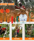 Pro Grade Tree Climbing Spikes Set With Alloy Steel Spurs And Adjustable Cowhide Leather Straps, Durable Rust Resistant Grippy Arborist Gear For Tree Trimming, Logging, And Fruit Picking with images of usage scenarios.