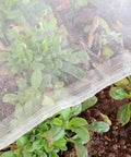 4x10 Ft Garden Bug Barrier Netting For Pest Protection covering plants in a garden, fine mesh row cover visible in close-up.