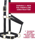 Nylon Horse Halter With Padded Comfort And Fully Adjustable Fit, chin and throat snap hooks, brass plated hardware visible.