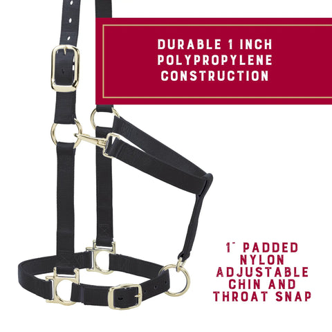 Nylon Horse Halter With Padded Comfort And Fully Adjustable Fit, chin and throat snap hooks, brass plated hardware visible.