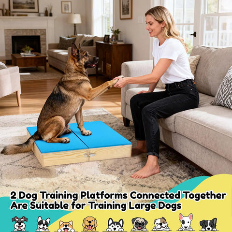 Woman training dog on Two Piece Connectable Wooden Dog Training Platform Set With Non Slip Foaming Surface For Small To Medium Dogs Easy Latch Together Puppy Agility Boards For Home Gym And Fun Training Sessions