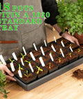 Person holding 18 square nursery pots 3.3 inch flexible plastic seedling pots for plants with waterproof plant labels in standard tray.