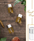 Grab This Top Shelf Haul Of Clear Two Milliliter Mini Glass Vials With Heavy Duty Silver Caps For Travel Cosmetics Diy Builds And Tight Sealing Essential Oil Storage With A Killer Natural Vibe, showcasing three 2ml vials with silver caps.
