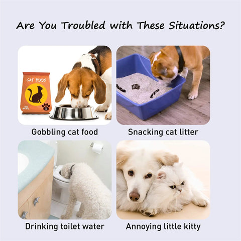Heavy Duty Adjustable Pet Door Strap And Latch Keeps The Pups Outta The Litter Box While Letting Cats Step Right Inside For Meals