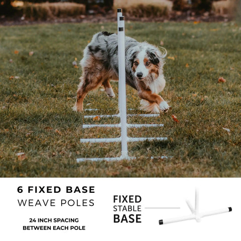 Dog running through weave poles from Backyard Dog Agility Starter Kit With 10 Foot Tunnel, Tire Jump, Bar Jump, Weave Poles, Sandbags And Pause Box