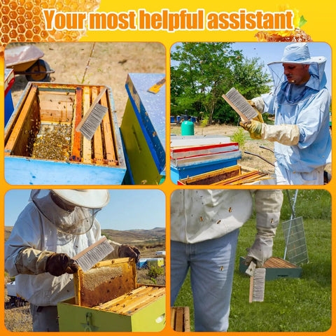 Beekeeper using Beekeeping Brush With Natural Horsehair And Wooden Handle For Hive Cleaning in apiary settings