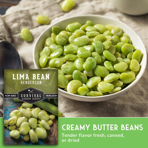 Easy Grow Lima Beans For Garden Beds And Class Projects With High Germination Rates Butter Bean Seeds Non GMO Heirloom Variety Compact Bush Plants For A Quick Harvest In Your Survival Garden Pack