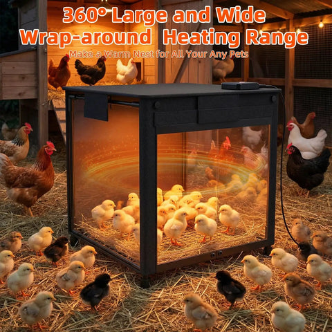 All-In-One Chick Brooder Box With Adjustable Temperature 77 To 95 F in barn surrounded by chicks and chickens