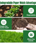 Biodegradable Paper Weed Barrier For Garden Beds Three 100 Foot Rolls Heavy Duty Landscape Paper Fabric Grass Blocker