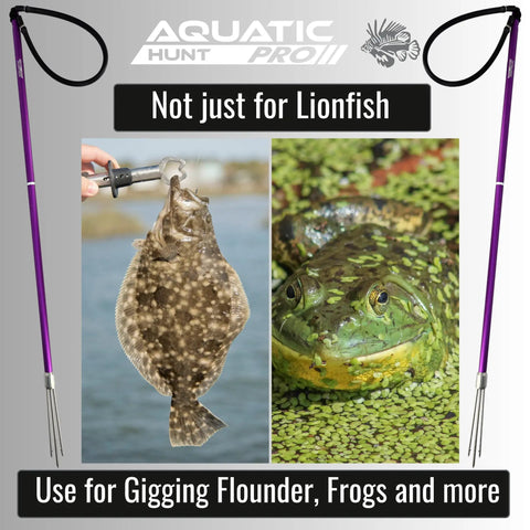 36 Inch Travel Ready Underwater Spear For Lionfish Frog And Flounder Gigging with images of flounder and frog