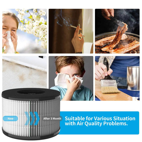 Collage showing effects of air pollution and Eight Pack Main Replacement Filter For PARTU BS 03 Purifier in bottom left.